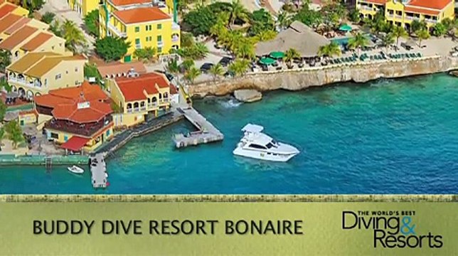 2013 World's Best Diving & Resorts: Buddy Dive Resort Bonaire