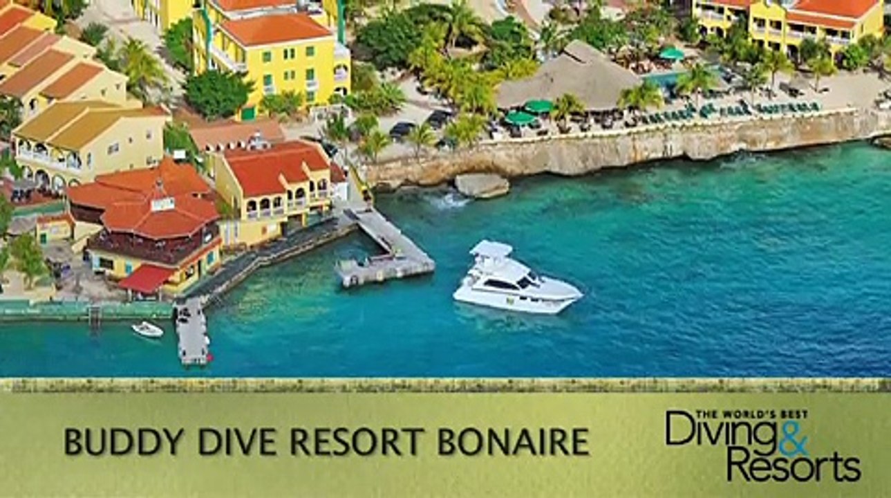 2013 World's Best Diving & Resorts: Buddy Dive Resort Bonaire