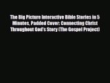 [PDF] The Big Picture Interactive Bible Stories in 5 Minutes Padded Cover: Connecting Christ