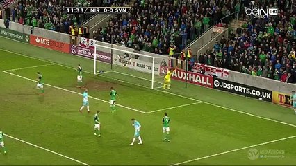 Roman Bezjak Big Chance - N.Ireland 0-0 Slovenia 28.03.2016