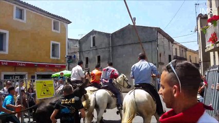 Villeneuve-les-Maguelone-Abrivado-Course Camarguaise-juillet 2015