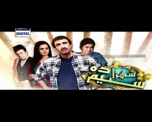 Shehzada Saleem Episode 37 on Ary Digital P1