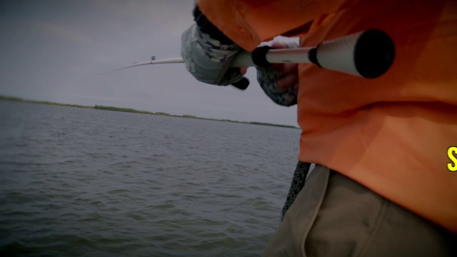 Lew's TP1 Baitcasting Rod