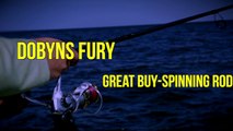Dobyns Fury Spinning Rod