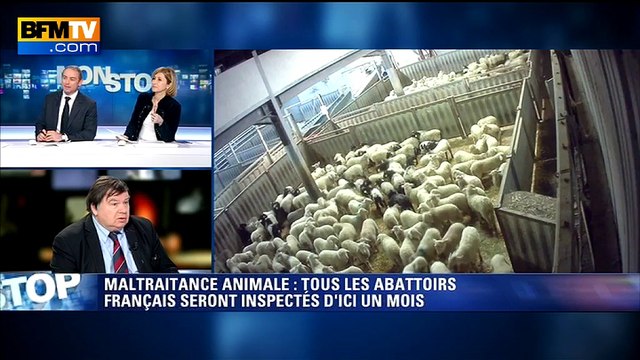 Maltraitance à l'abattoir de Soule: la confédération française de la boucherie scandalisée