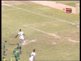 Niger - Sénégal (1-2): Le Niger réduit le score  grace à Victorien Adebayor
