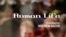 BBC: Эволюция жизни. Часть 5. Жизнь человека (2005)