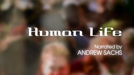 BBC: Эволюция жизни. Часть 5. Жизнь человека (2005)