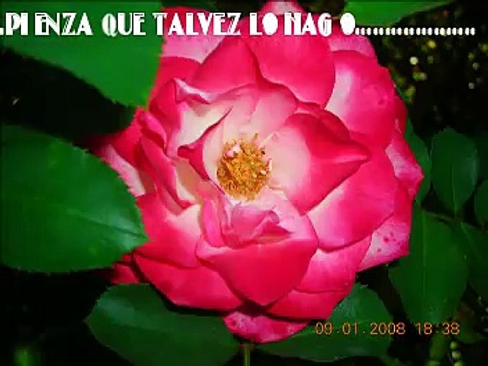 TE QUIERO CADA DIA MAS  *_* JUAN BAU