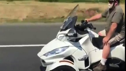 This Dog Has His Own Ride!