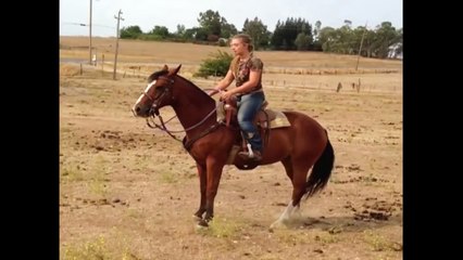 Woman Gets Thrown Off Her Horse