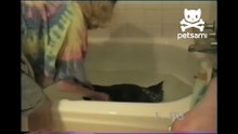 Woman falls into tub while giving her kitten a bath