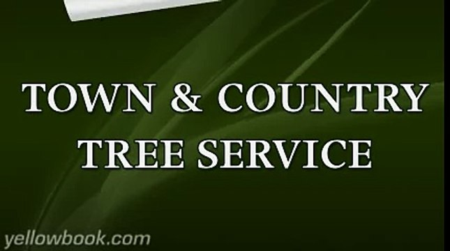 Town & Country Tree Service - Pensacola, FL