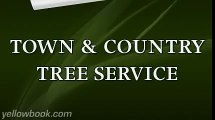 Town & Country Tree Service - Pensacola, FL