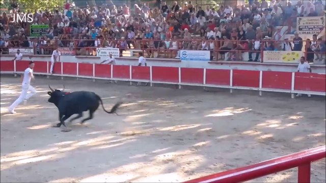 REMOULINS-Abrivado-Course Camarguaise-Bandido de Taureaux-juillet 2015-Journée taurine.