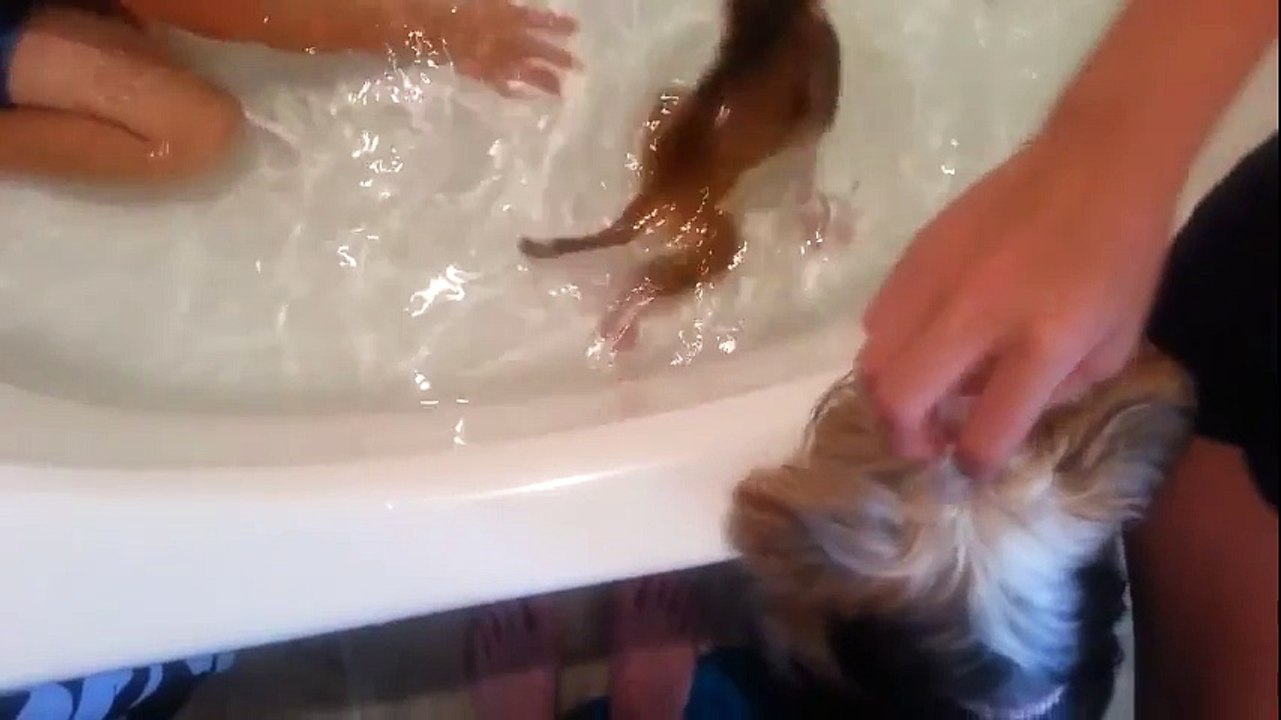 Little Boy playing with monkey