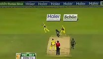 Steve Smith Greatest Catch Ever in Cricket History