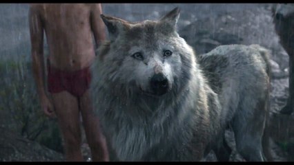 The Jungle Book - Mowgli Leaves the Pack