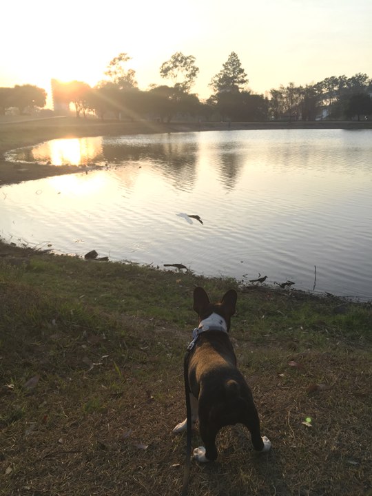 De paseo por el parque