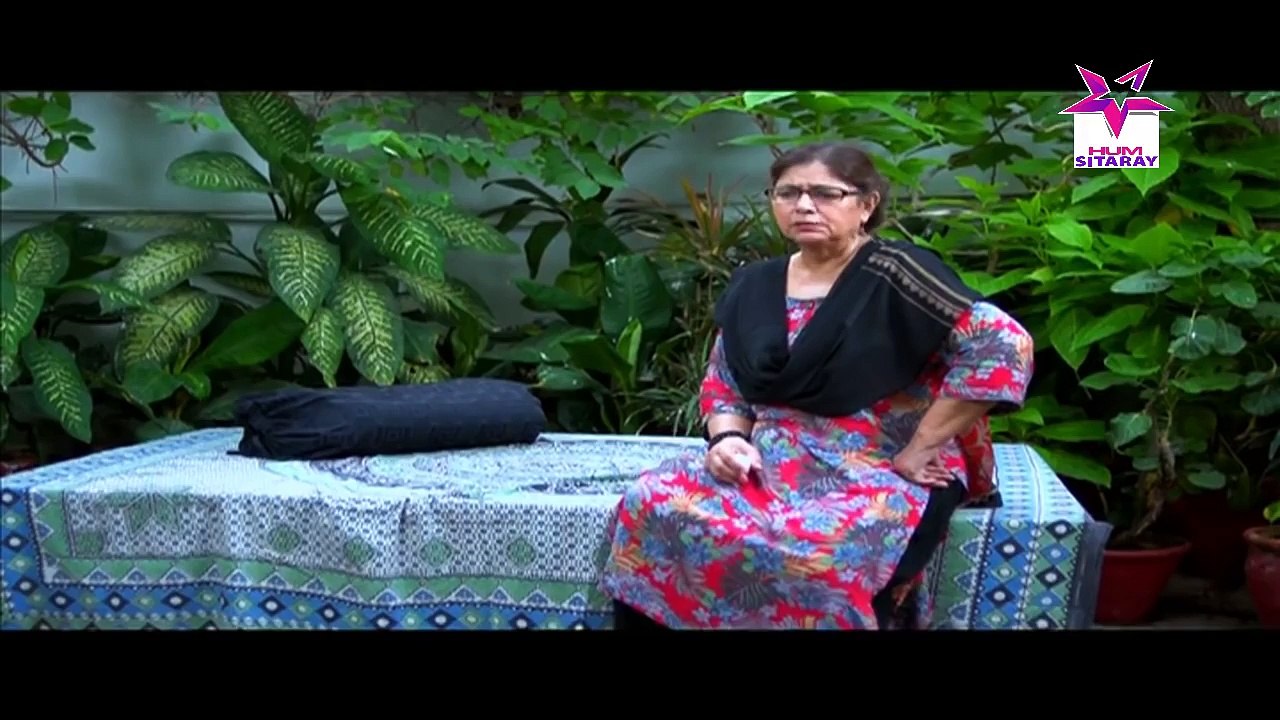 Chirryon Ka Chamba Episode 70 Full HUMSITARAY TV Drama 31 July 2015