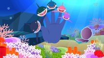 Finger Family Shark | Fish Finger Family | Nursery Rhymes