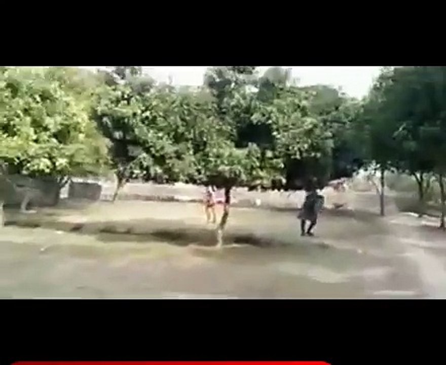 whatsapp videos funny- comedy indian -latest 2016