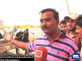 Dunya News - Gullu Butt, Pomi Butt, Bholu no 1 hit at Lahore's market selling sacrificial animals