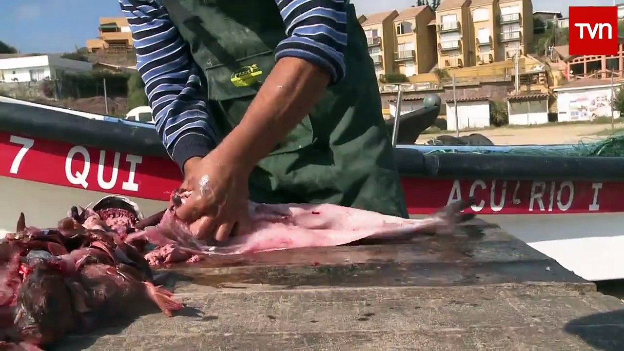 Frutos del País 2016-01 LOS MOLLES