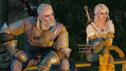 THE WITCHER 3 WALKTHROUGH PART 208 - BALD MOUNTAIN