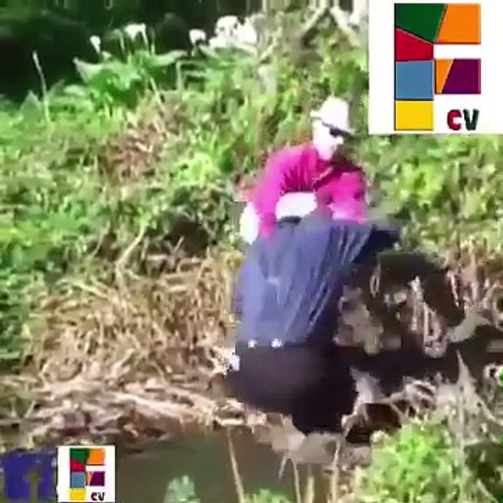 Funny Clips