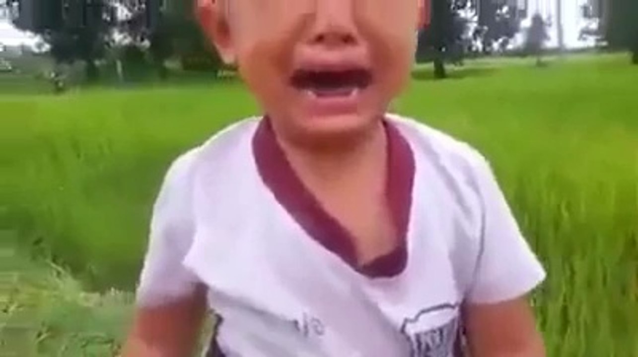 video lucu