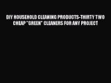 Download DIY HOUSEHOLD CLEANING PRODUCTS-THIRTY TWO CHEAP GREEN CLEANERS FOR ANY PROJECT PDF