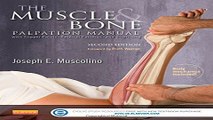 Download The Muscle and Bone Palpation Manual with Trigger Points  Referral Patterns and