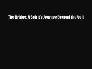 Read The Bridge: A Spirit's Journey Beyond the Veil Ebook Free
