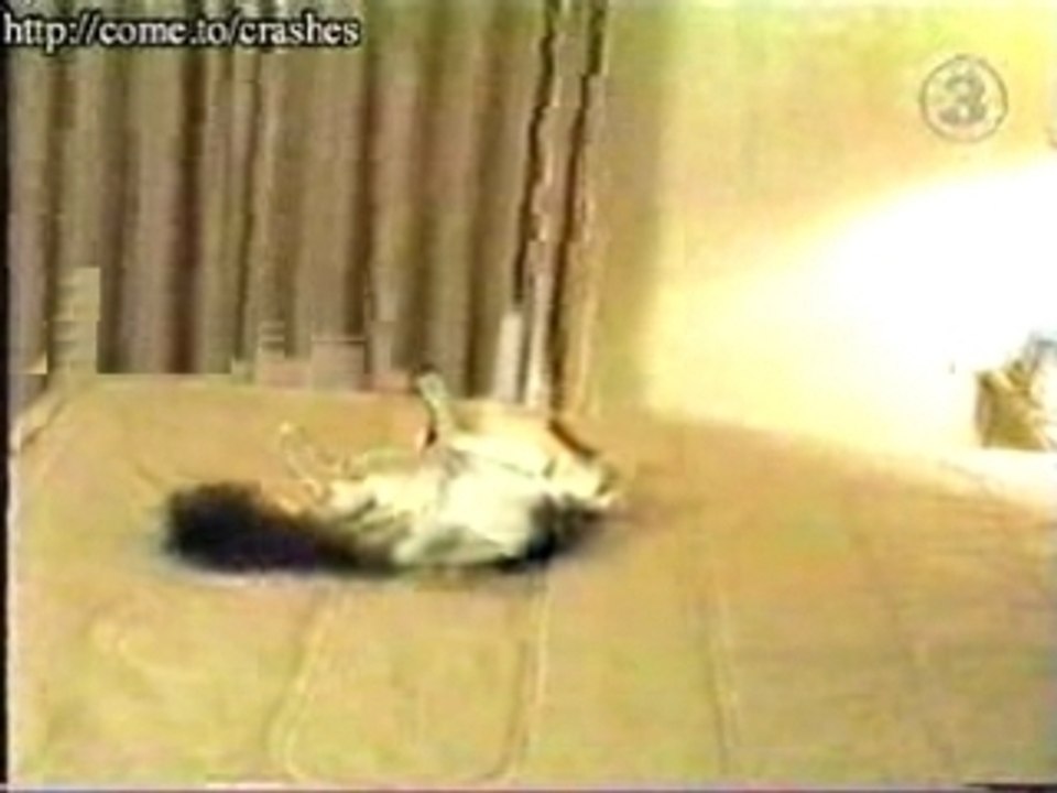 chat