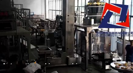 500g Pet food packaging machine