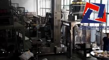 500g Pet food packaging machine