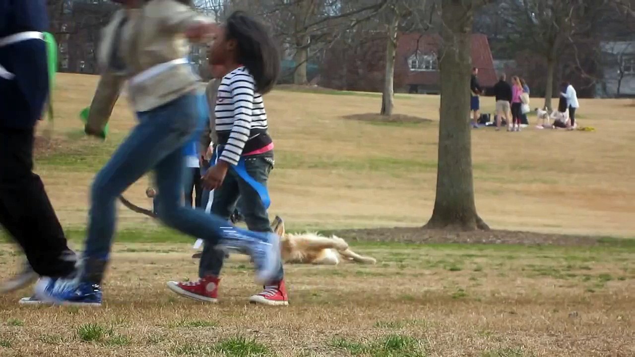 Lazy Dog Doesn't Want To Leave The Park