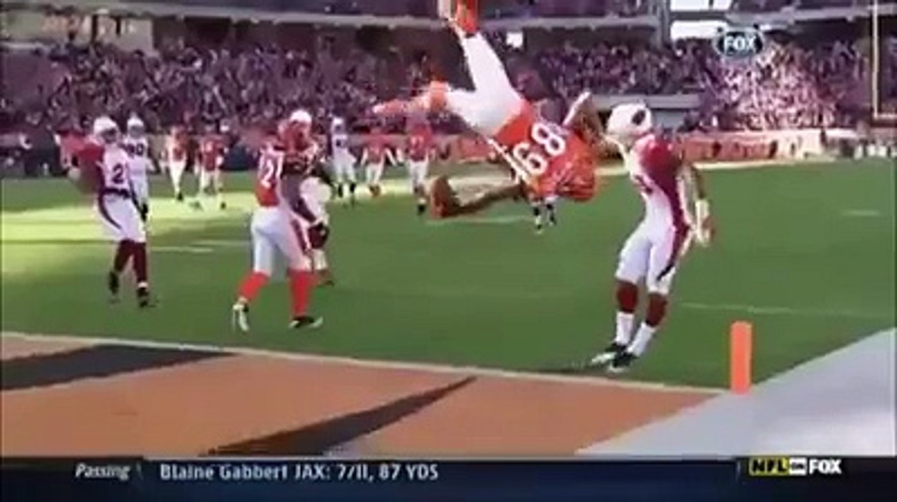 amazing video