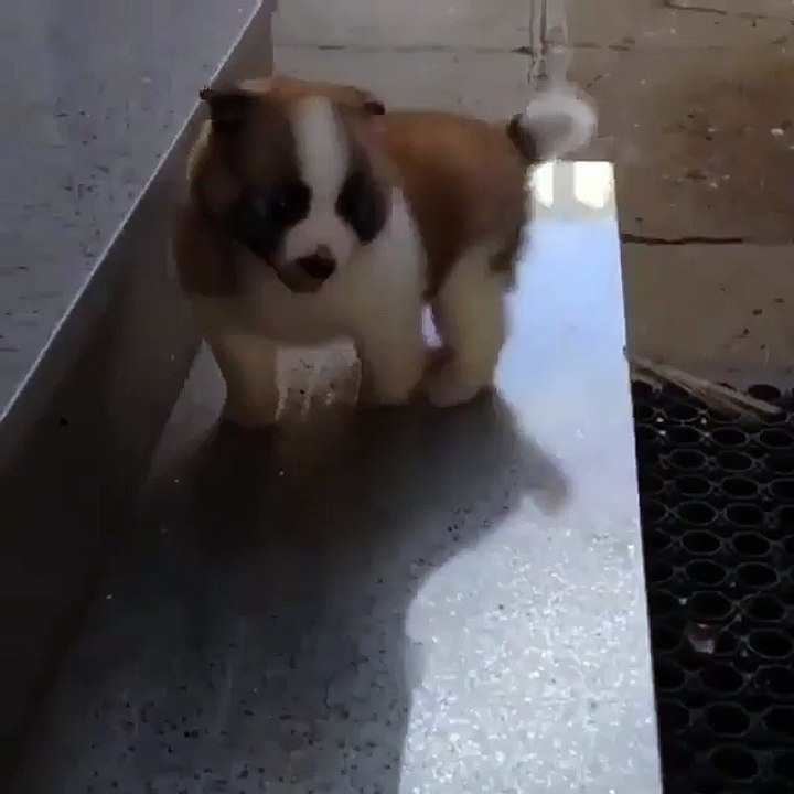 It just Falls Off