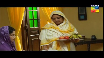 Mann Mayal Episode 10 HD Hum TV Drama 28 March