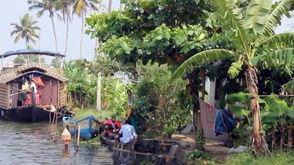 Alleppey  Backwaters  Kerala,  India