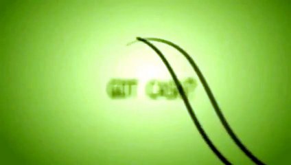 data entry and typing $300 per month