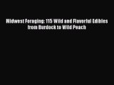 PDF Midwest Foraging: 115 Wild and Flavorful Edibles from Burdock to Wild Peach Free Books