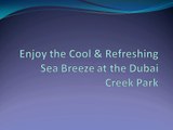 Enjoy the Cool & Refreshing Sea Breeze at the Dubai Creek Park