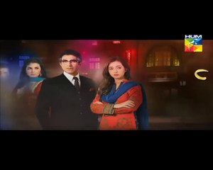 Ishq e Benaam Last Episode 102 Hum TV Drama 29 March 2016 P1