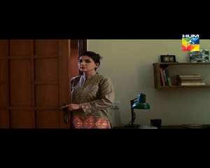 Ishq e Benaam Last Episode 102 Hum TV Drama 29 March 2016 P2