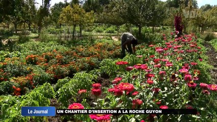 Le JT de VOtv du 29 mars 2016