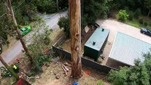 Il grimpe à 40 mètres de hauteur pour découper les branches d'un arbre