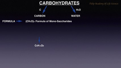 biochemistry of carbohydrates